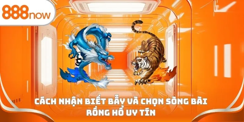 Cách nhận biết bẫy và chọn sòng bài Rồng Hổ uy tín