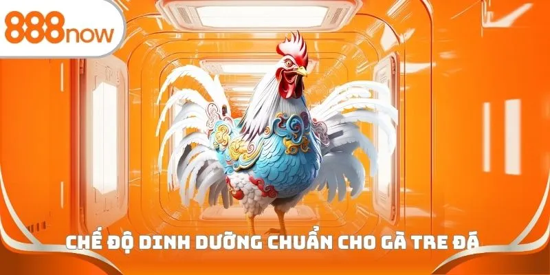 Chế độ dinh dưỡng chuẩn cho gà tre đá