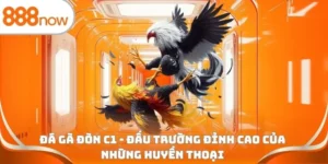 Đá gà đòn C1 - Đấu trường đỉnh cao của những huyền thoại