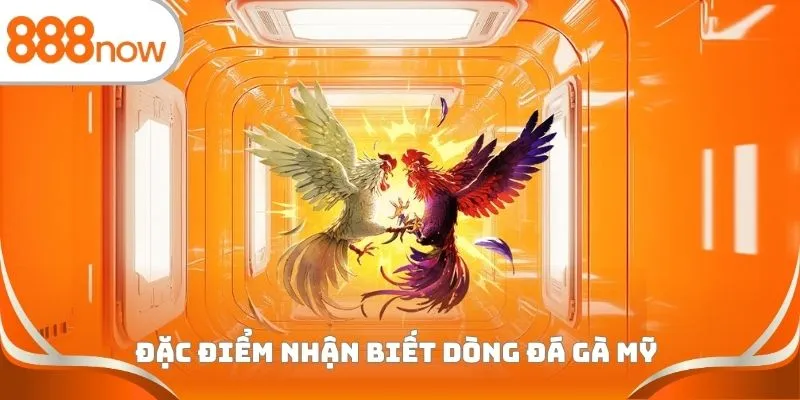 Đặc điểm nhận biết dòng đá gà Mỹ