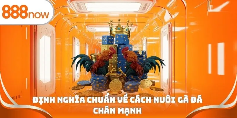 Định nghĩa chuẩn về cách nuôi gà đá chân mạnh