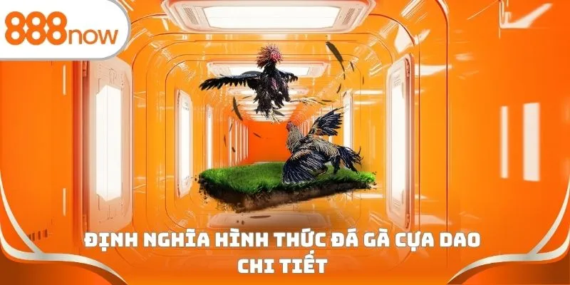 Định nghĩa hình thức đá gà cựa dao chi tiết